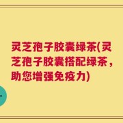灵芝孢子胶囊绿茶(灵芝孢子胶囊搭配绿茶，助您增强免疫力)