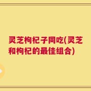 灵芝枸杞子同吃(灵芝和枸杞的最佳组合)