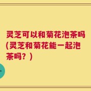 灵芝可以和菊花泡茶吗(灵芝和菊花能一起泡茶吗？)