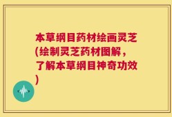 本草纲目药材绘画灵芝(绘制灵芝药材图解，了解本草纲目神奇功效)