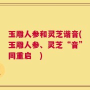 玉雕人参和灵芝谐音(玉雕人参、灵芝“音”同重启　)