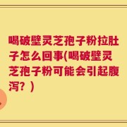 喝破壁灵芝孢子粉拉肚子怎么回事(喝破壁灵芝孢子粉可能会引起腹泻？)