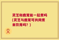 灵芝和鹿茸能一起煮吗(灵芝与鹿茸可共同煮来饮用吗？)