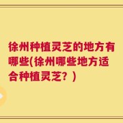 徐州种植灵芝的地方有哪些(徐州哪些地方适合种植灵芝？)