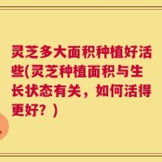 灵芝多大面积种植好活些(灵芝种植面积与生长状态有关，如何活得更好？)