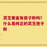 灵芝里面有孢子粉吗？什么是纯正的灵芝孢子粉