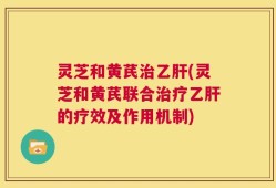 灵芝和黄芪治乙肝(灵芝和黄芪联合治疗乙肝的疗效及作用机制)