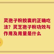 灵孢子粉胶囊的正确吃法？灵芝孢子粉功效与作用及用量是什么