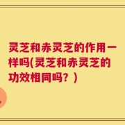 灵芝和赤灵芝的作用一样吗(灵芝和赤灵芝的功效相同吗？)