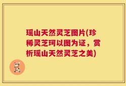 瑶山天然灵芝图片(珍稀灵芝珂以图为证，赏析瑶山天然灵芝之美)