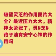 破壁灵芝的作用图片大全？最近压力太大，精神太紧张了，灵#芝#孢子油有安宁心神的作用吗