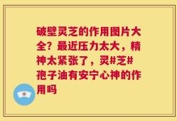 破壁灵芝的作用图片大全？最近压力太大，精神太紧张了，灵#芝#孢子油有安宁心神的作用吗