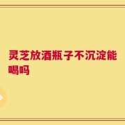 灵芝放酒瓶子不沉淀能喝吗