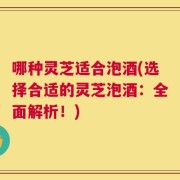 哪种灵芝适合泡酒(选择合适的灵芝泡酒：全面解析！)