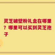 灵芝破壁粉礼盒在哪里？哪里可以买到灵芝孢子