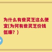 为什么有些灵芝这么便宜(为何有些灵芝价钱低廉？)
