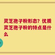 灵芝孢子粉形态？优质灵芝孢子粉的特点是什么