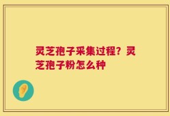 灵芝孢子采集过程？灵芝孢子粉怎么种
