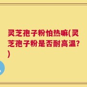 灵芝孢子粉怕热嘛(灵芝孢子粉是否耐高温？)