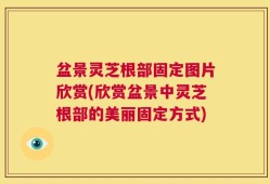 盆景灵芝根部固定图片欣赏(欣赏盆景中灵芝根部的美丽固定方式)