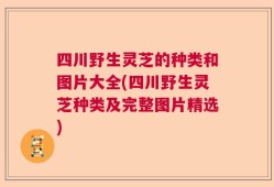 四川野生灵芝的种类和图片大全(四川野生灵芝种类及完整图片精选)