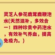 灵芝人参花鹿茸鹿鞭泡水(天然滋补，多效合一！四种珍贵中药泡水，有效补气养血，提高免疫力。)