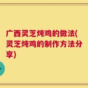 广西灵芝炖鸡的做法(灵芝炖鸡的制作方法分享)