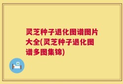 灵芝种子退化图谱图片大全(灵芝种子退化图谱多图集锦)