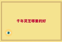 千年灵芝哪里的好