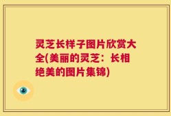 灵芝长样子图片欣赏大全(美丽的灵芝：长相绝美的图片集锦)