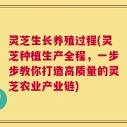 灵芝生长养殖过程(灵芝种植生产全程，一步步教你打造高质量的灵芝农业产业链)