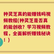 种灵芝真的能赚钱吗视频教程(种灵芝是否真的能创收？学习视频教程，全面解析赚钱秘诀！)