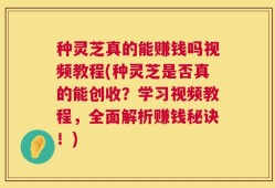 种灵芝真的能赚钱吗视频教程(种灵芝是否真的能创收？学习视频教程，全面解析赚钱秘诀！)