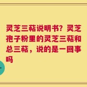 灵芝三萜说明书？灵芝孢子粉里的灵芝三萜和总三萜，说的是一回事吗