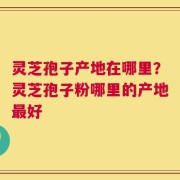 灵芝孢子产地在哪里？灵芝孢子粉哪里的产地最好