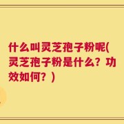 什么叫灵芝孢子粉呢(灵芝孢子粉是什么？功效如何？)