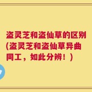 盗灵芝和盗仙草的区别(盗灵芝和盗仙草异曲同工，如此分辨！)