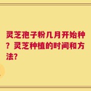 灵芝孢子粉几月开始种？灵芝种植的时间和方法？
