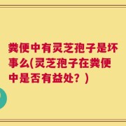 粪便中有灵芝孢子是坏事么(灵芝孢子在粪便中是否有益处？)