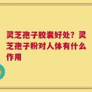 灵芝孢子胶囊好处？灵芝孢子粉对人体有什么作用