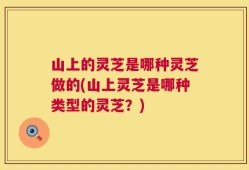 山上的灵芝是哪种灵芝做的(山上灵芝是哪种类型的灵芝？)