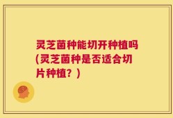 灵芝菌种能切开种植吗(灵芝菌种是否适合切片种植？)