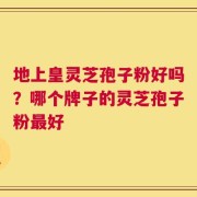 地上皇灵芝孢子粉好吗？哪个牌子的灵芝孢子粉最好
