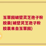 玉蕈园破壁灵芝孢子粉胶囊(破壁灵芝孢子粉胶囊来自玉蕈园)