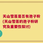 天山雪莲是否有孢子粉(天山雪莲的孢子粉研究及重要性探讨)