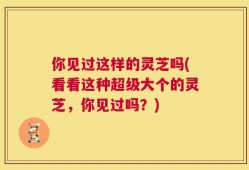 你见过这样的灵芝吗(看看这种超级大个的灵芝，你见过吗？)
