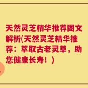 天然灵芝精华推荐图文解析(天然灵芝精华推荐：萃取古老灵草，助您健康长寿！)