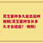 灵芝菌种多久能出菇啊视频(灵芝菌种生长多久才会结菇？-视频)
