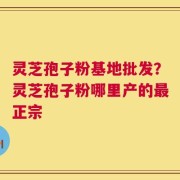 灵芝孢子粉基地批发？灵芝孢子粉哪里产的最正宗