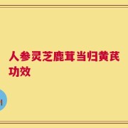 人参灵芝鹿茸当归黄芪功效